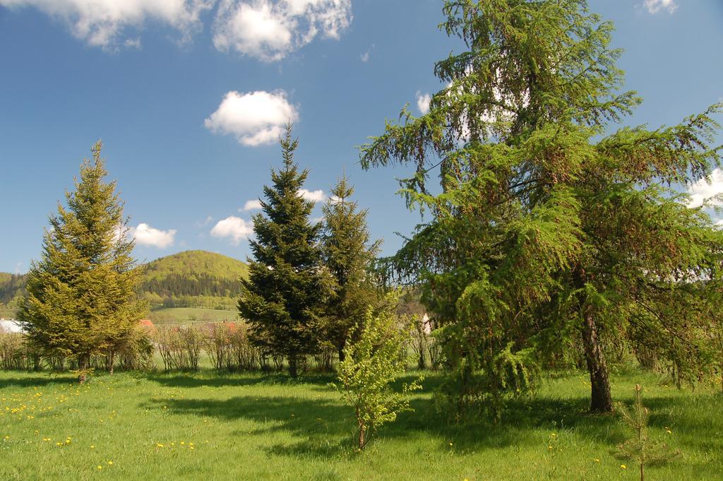 Rezydencja Terra Sudeta Acomodação com café da manhã Międzylesie Exterior foto